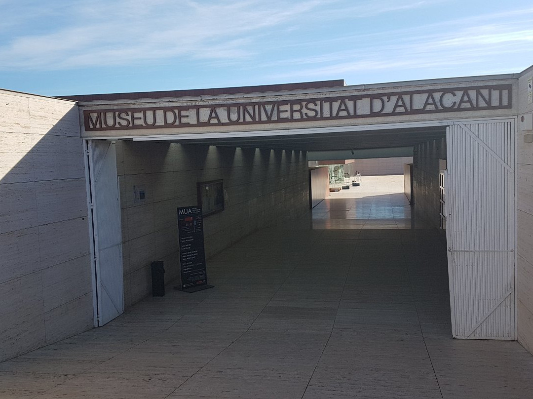 Museo de la Universidad景点图片