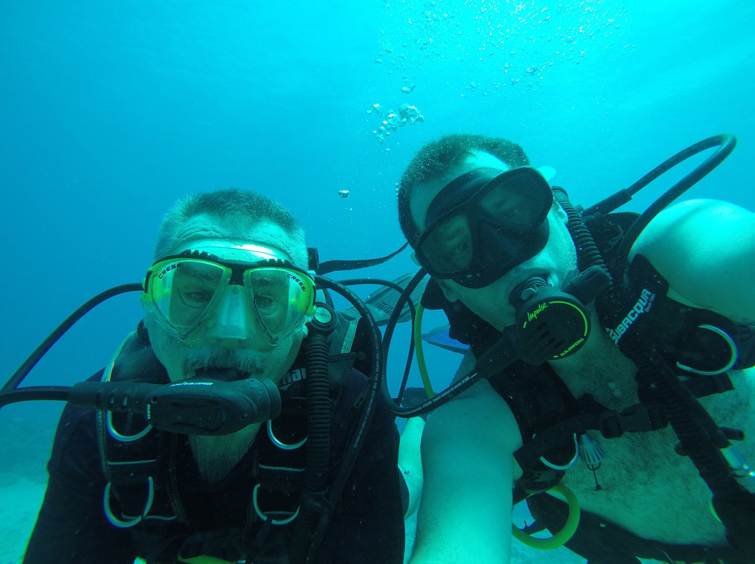 Las Antillas Diving Club景点图片