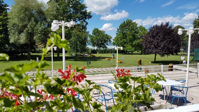 Hotel Festival-餐饮