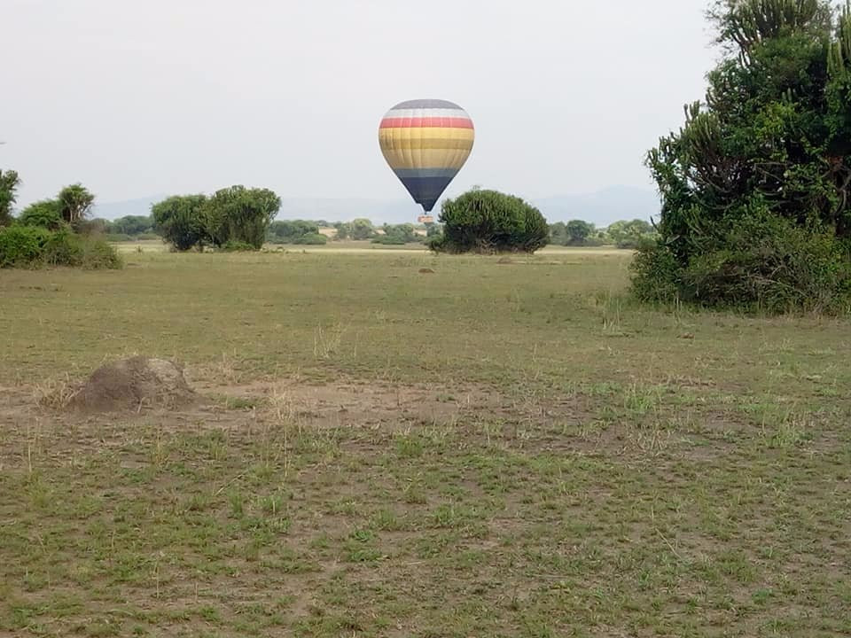 Yala Safaris Uganda-坎帕拉必去景点