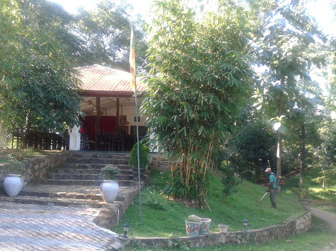 Honeyland Hotel