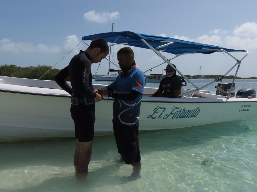 Dive Center Los Roques景点图片