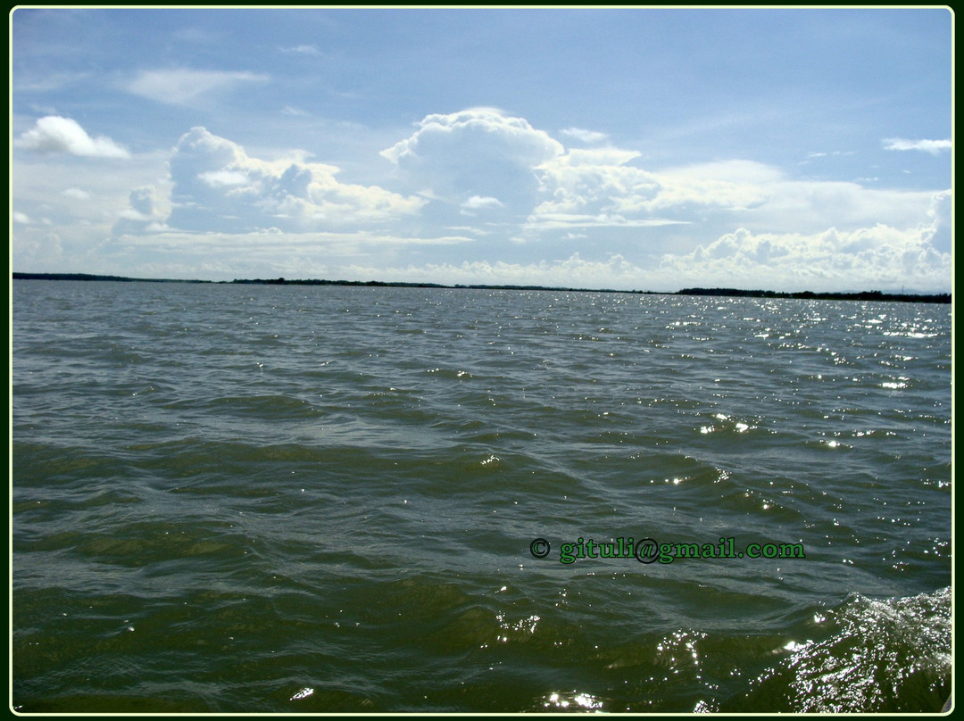 Chilika Wildlife Sanctuary景点图片