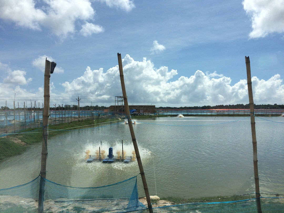 Chilika Wildlife Sanctuary景点图片