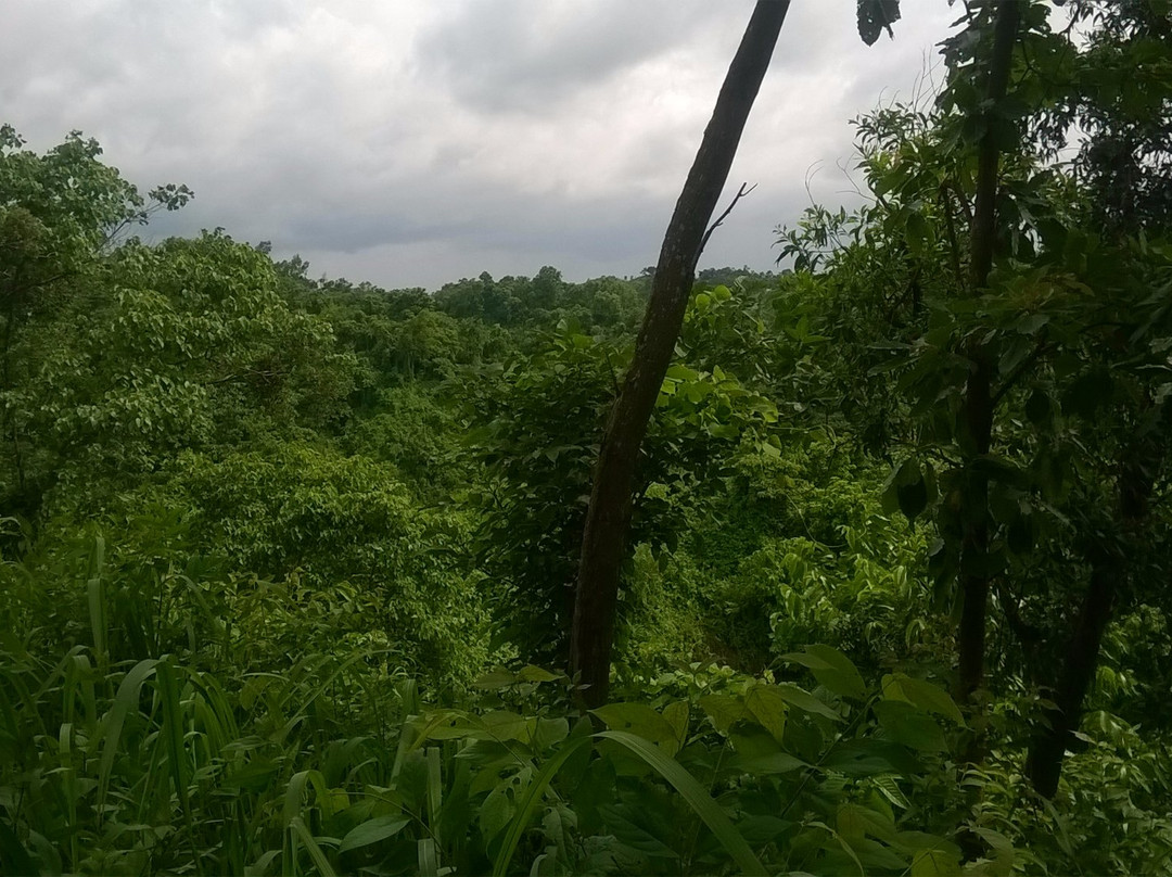 Banskhali Eco Park-Banskhali必去景点