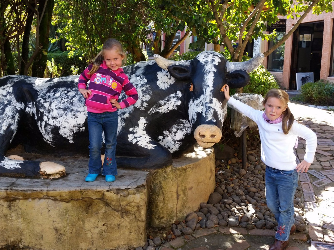 Central Drakensberg Information Centre景点图片
