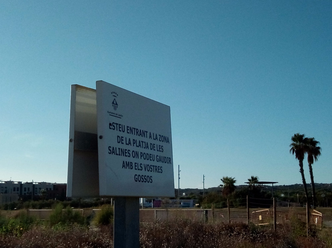 Playa de Les Salines-Cubelles必去景点