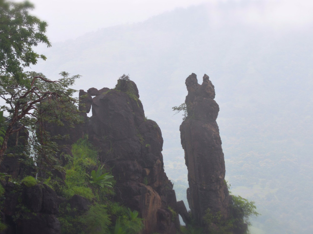 Gautala Autramghat Sanctuary景点图片