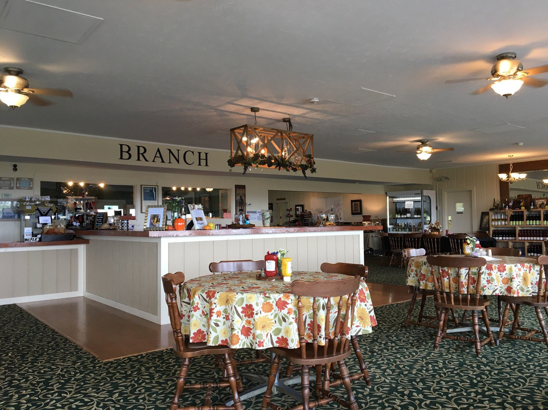 Branch By Bellangelo