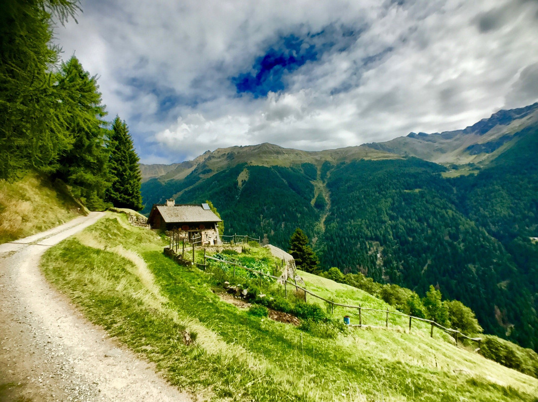 Val di PEJO景点图片