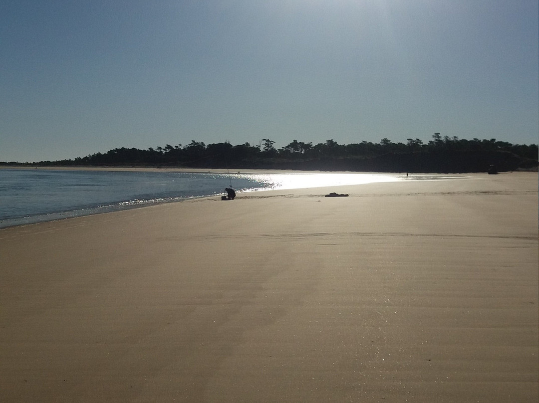 Plage de l'Embellie景点图片