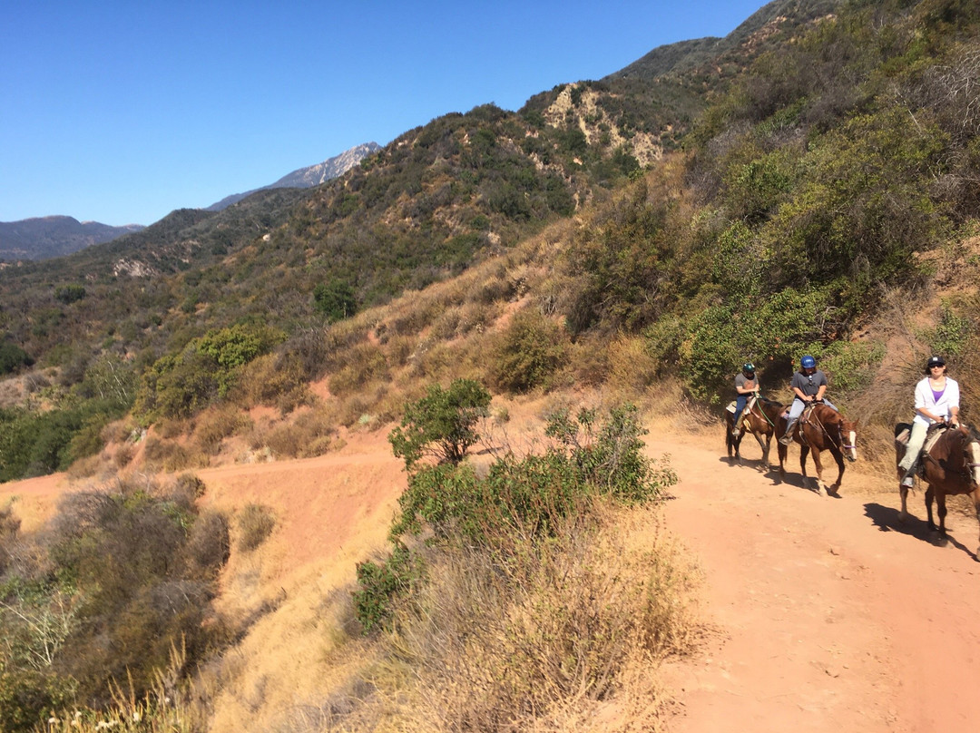 Ojai Valley Trail Riding Company-奥海必去景点