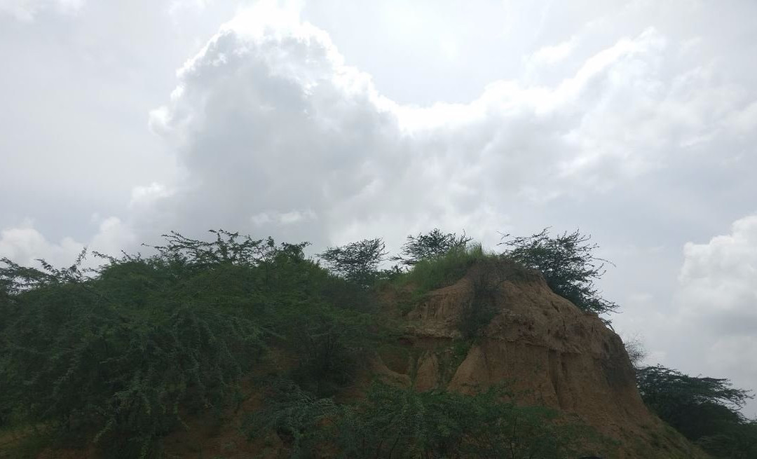 National Chambal Sanctuary NCS-阿格拉必去景点
