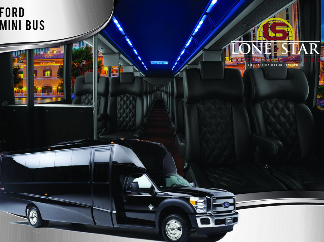 Lone Star Executive Limousine-伍德兰兹必去景点