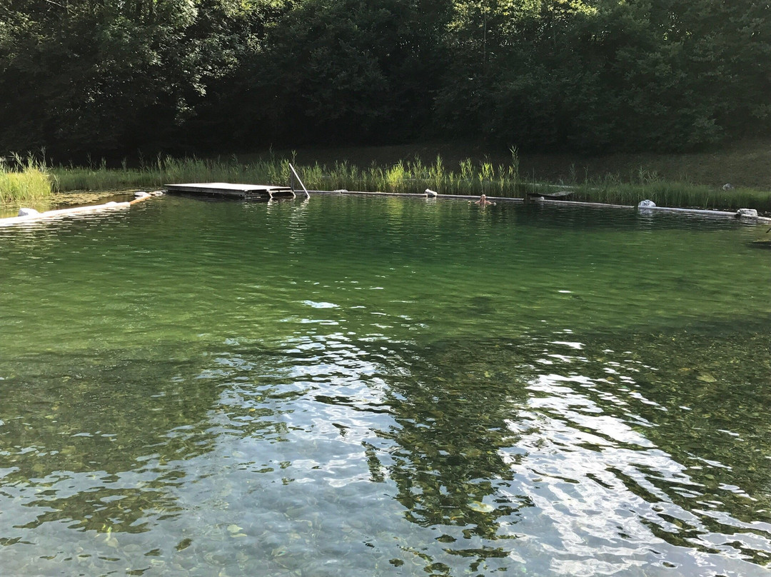 Naturschwimmbad Radnig景点图片