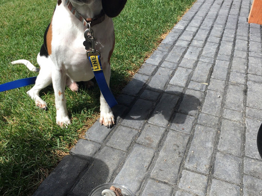 Cedar and Main Eatery