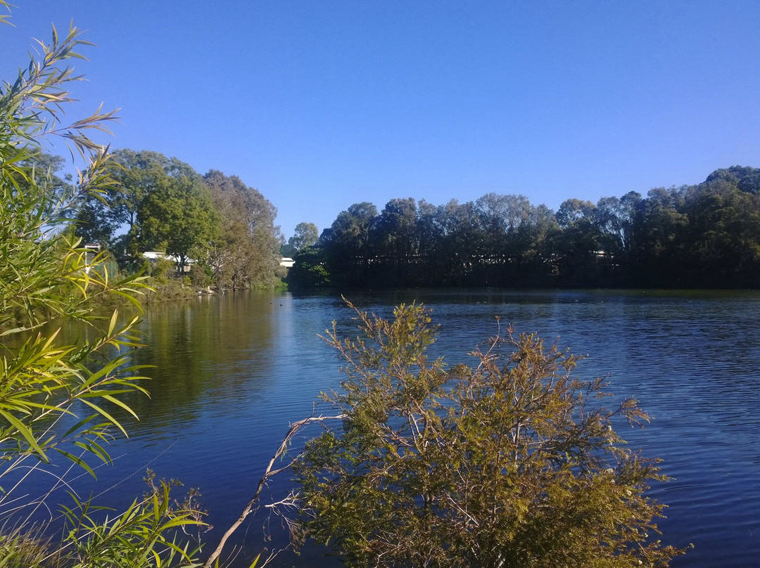 Black Swan Lake-Bundall必去景点