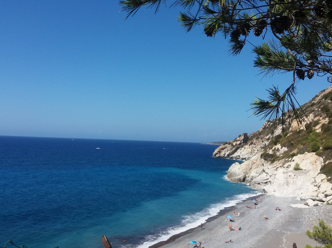 Spiaggia di Palombaia景点图片