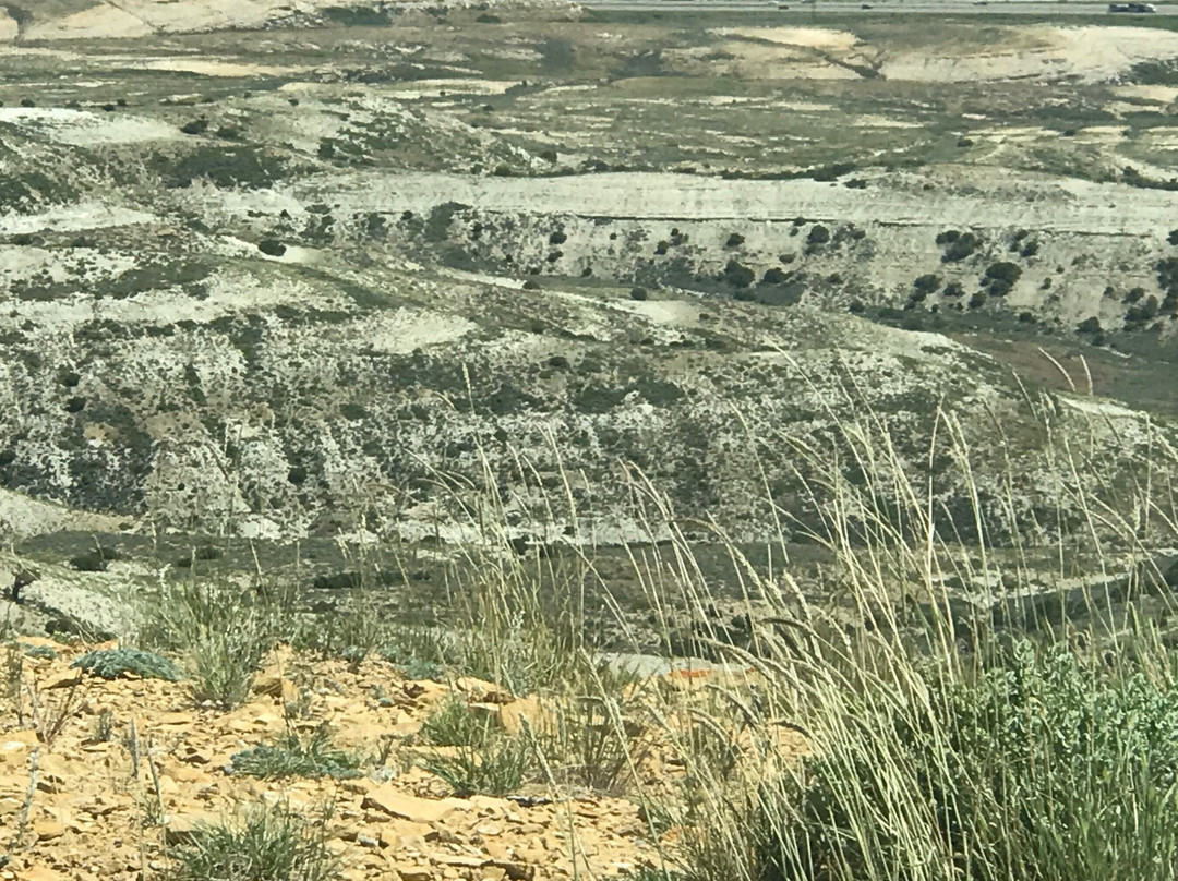 Flaming Gorge-Rock Springs必去景点