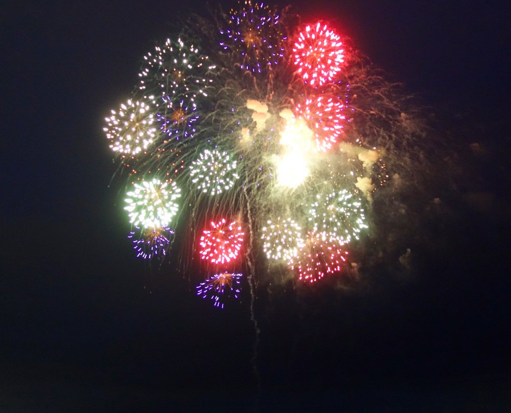 Oyama Fireworks-小山市必去景点