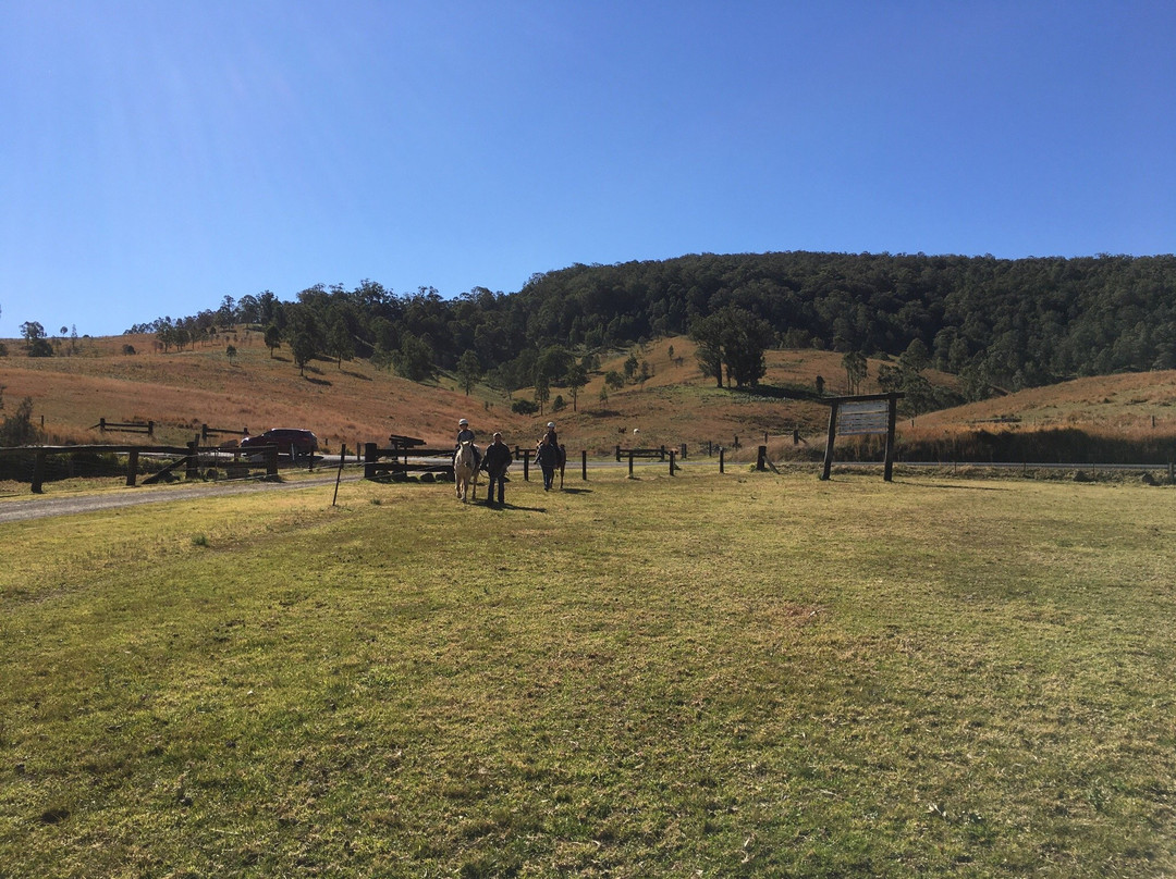 Camp Cobark-Cobark必去景点