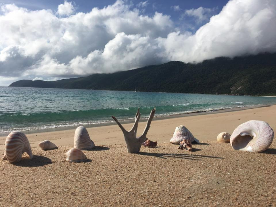 Hinchinbrook Adventures-Ingham必去景点