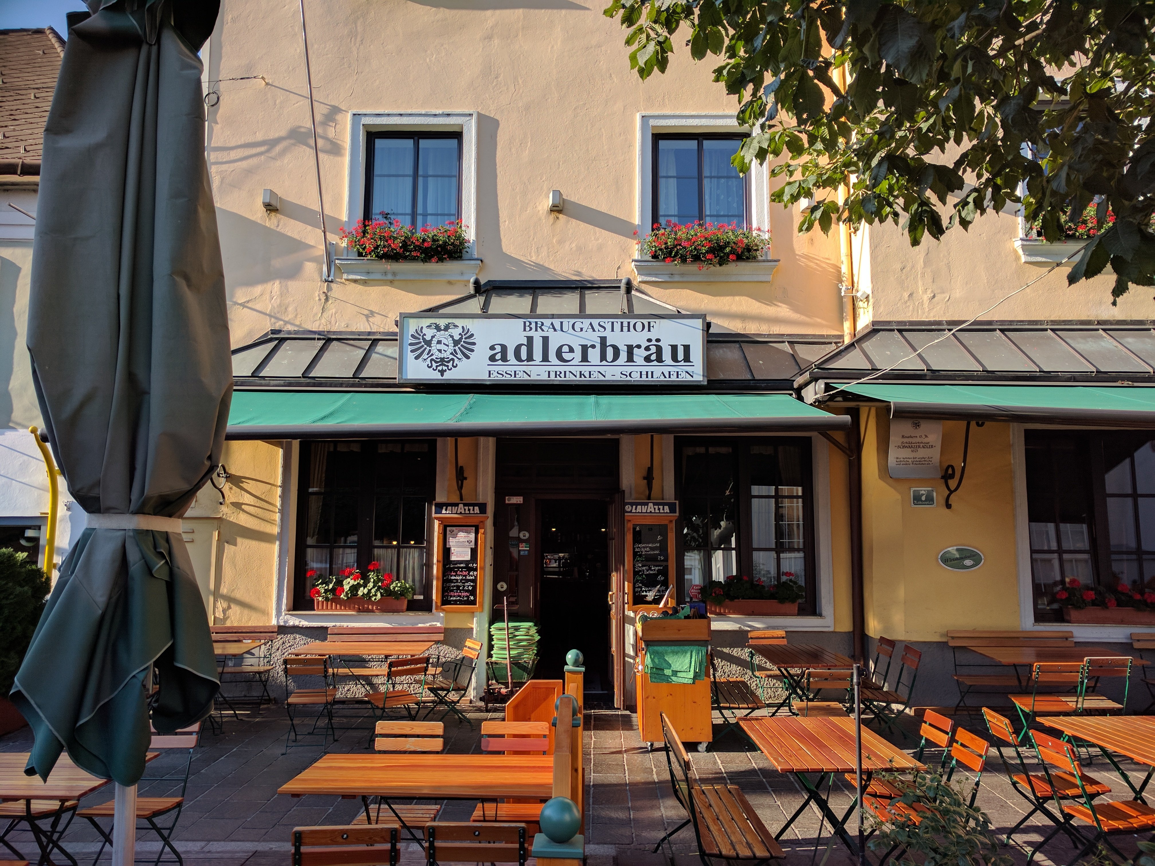Adlerbraeu Domain-官方