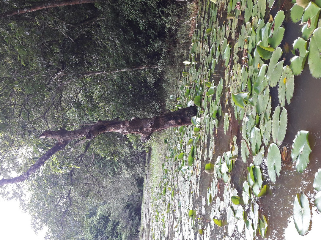 Trishna Wildlife Sanctuary景点图片