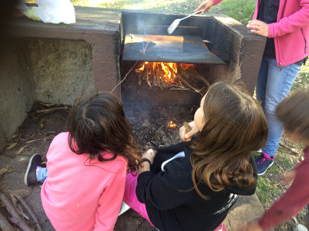 Mount Sugarloaf-Wallsend必去景点