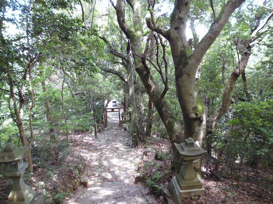 Yakura Hime Shrine-德岛市必去景点