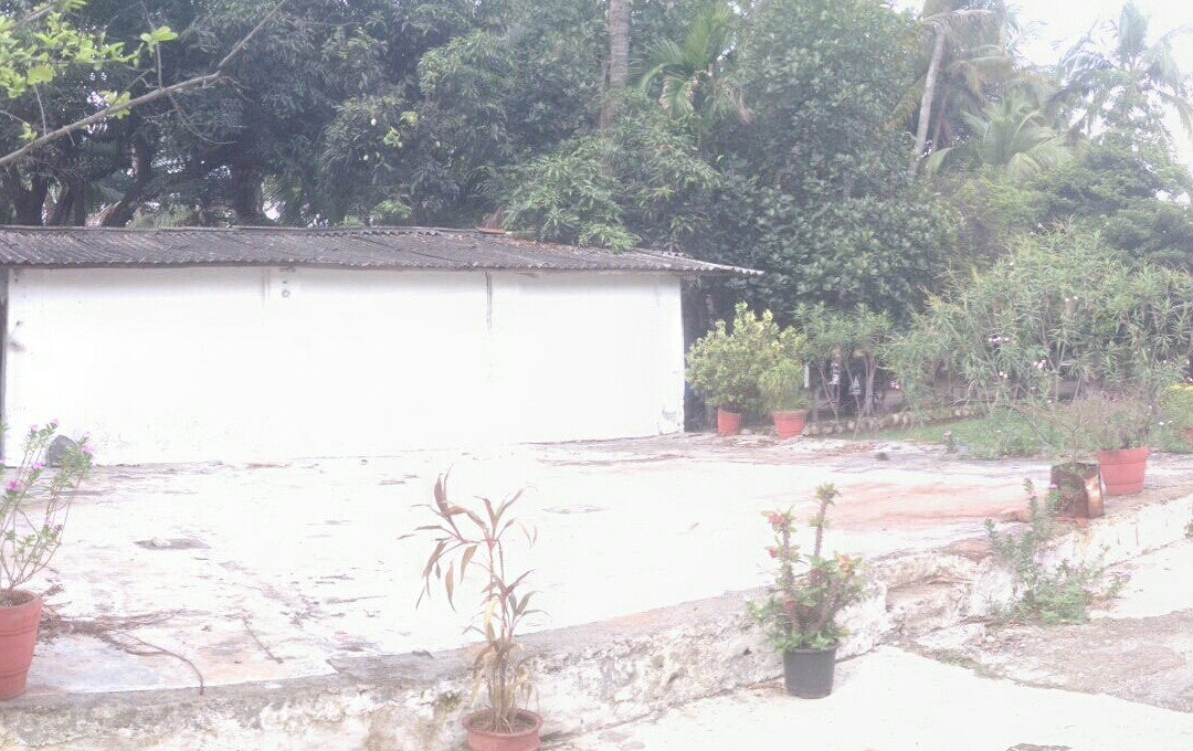 Mauli Village主图