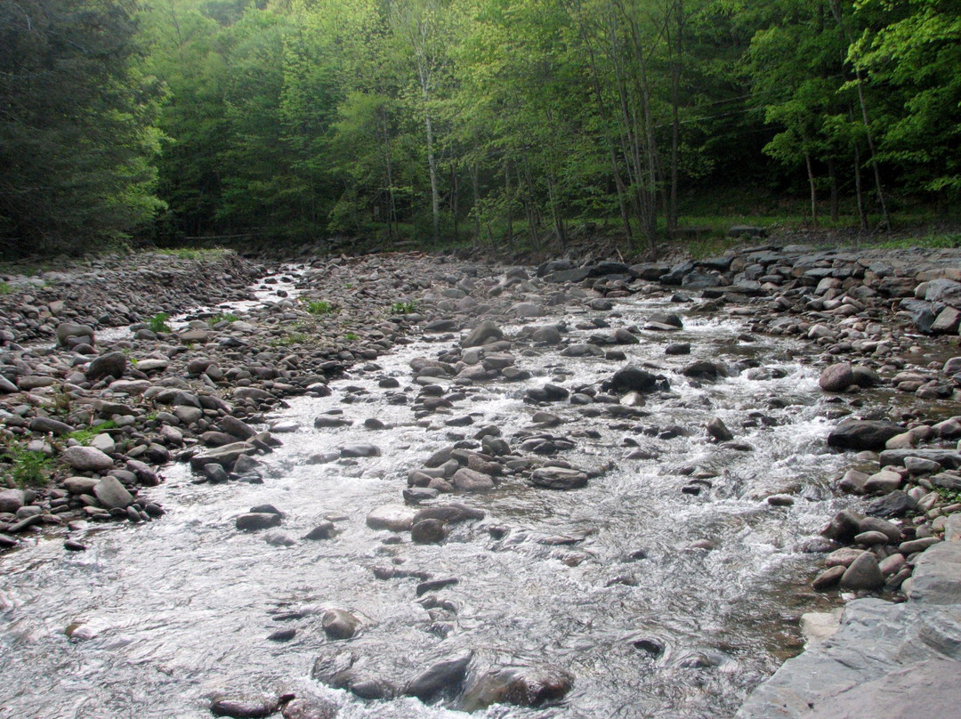 Woodland Valley State Park-Phoenicia必去景点
