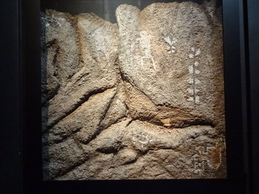 Museo Historico De San Luis景点图片