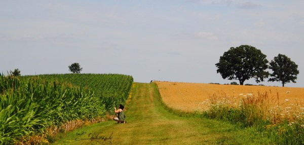 Pope Farm Conservency-Middleton必去景点