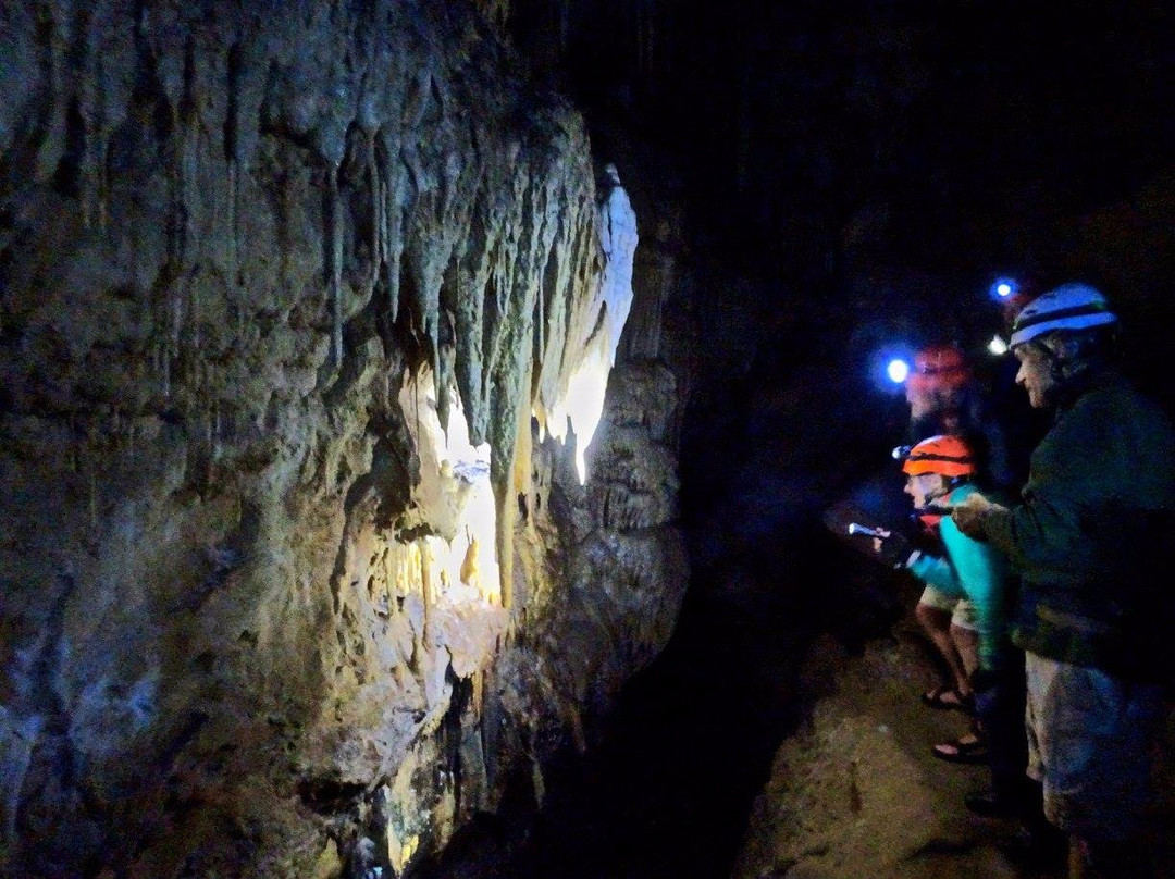 Adventure Waikato-怀卡托地区必去景点