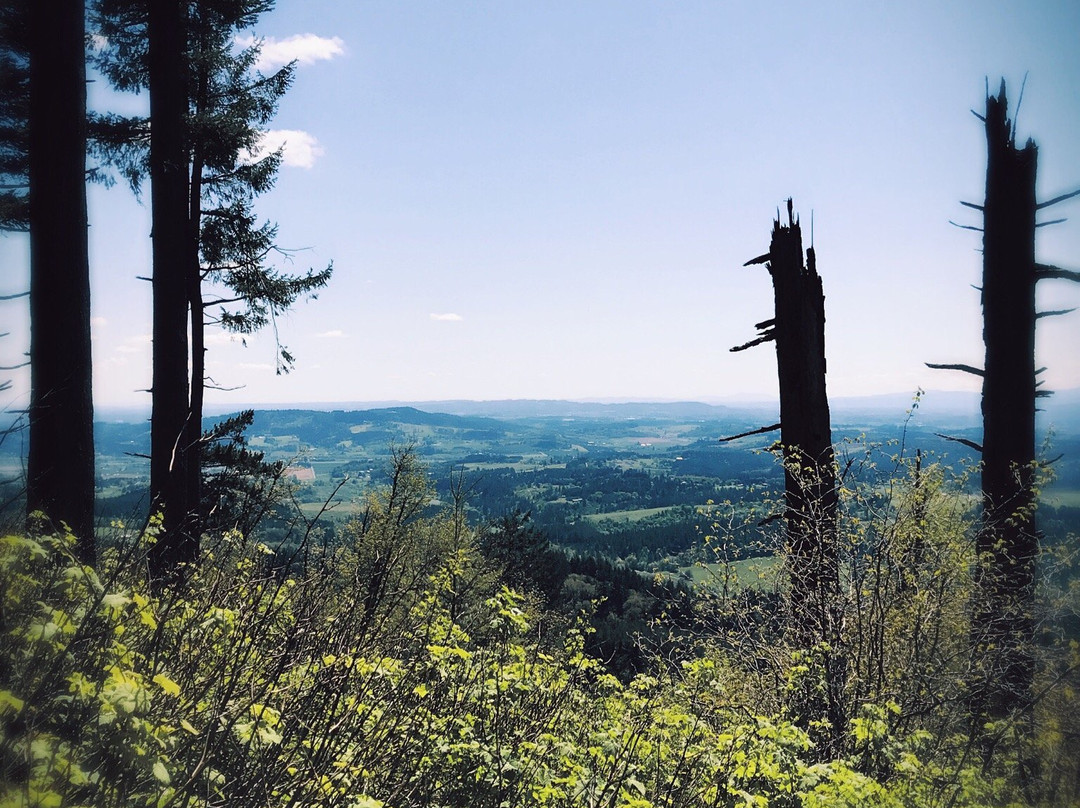 Bald Peak State Park-希尔斯伯勒必去景点