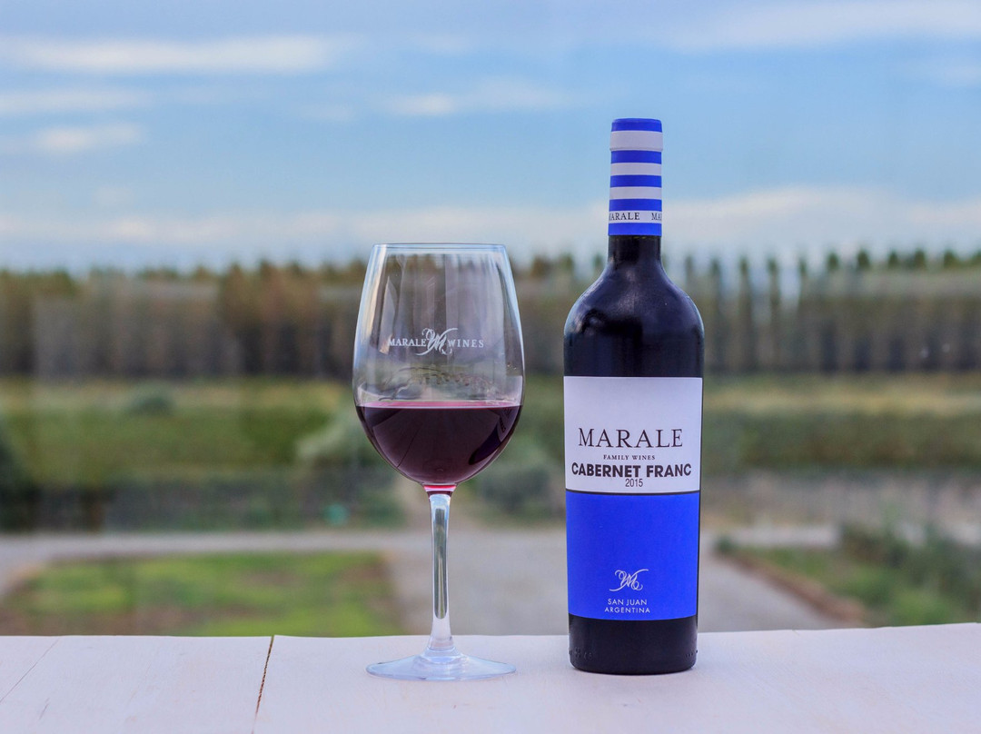 Marale Wines景点图片