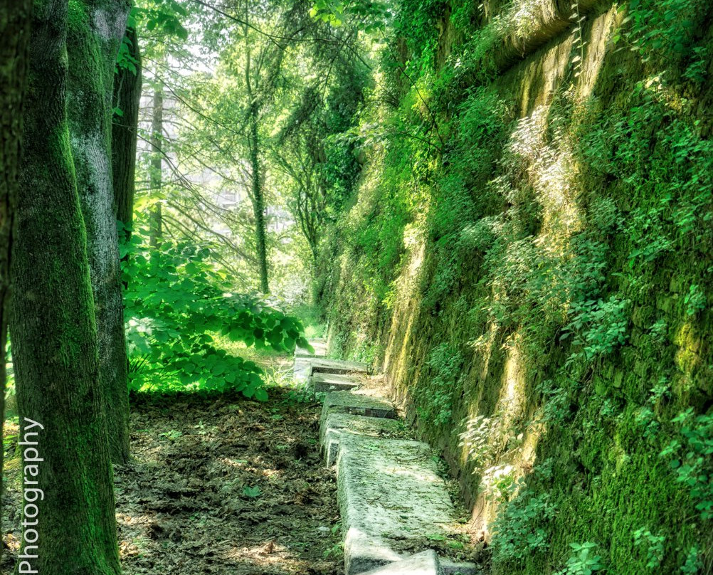 Castello di Novi Ligure-诺维利古雷必去景点