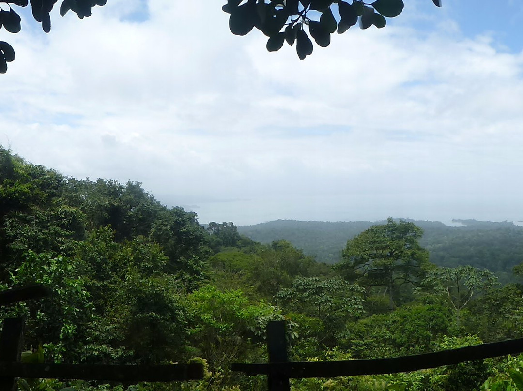 All Suriname Tours-帕拉马里博必去景点