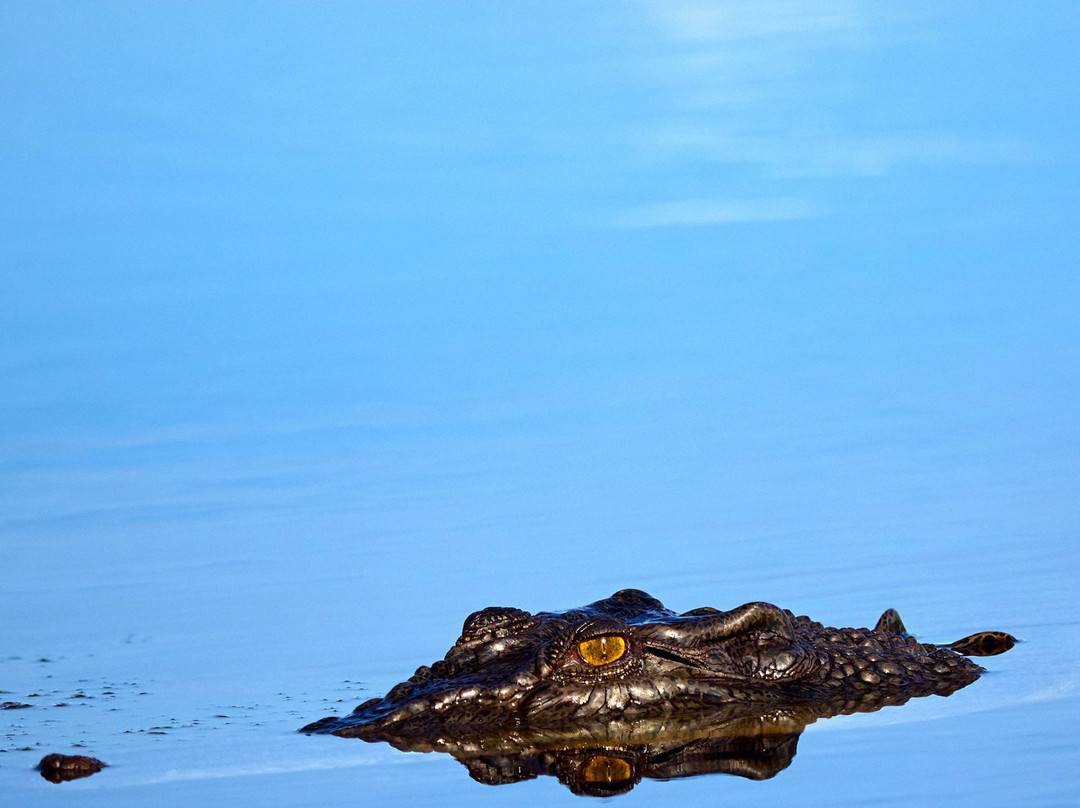 Paul Arnold Gallery-达尔文市必去景点