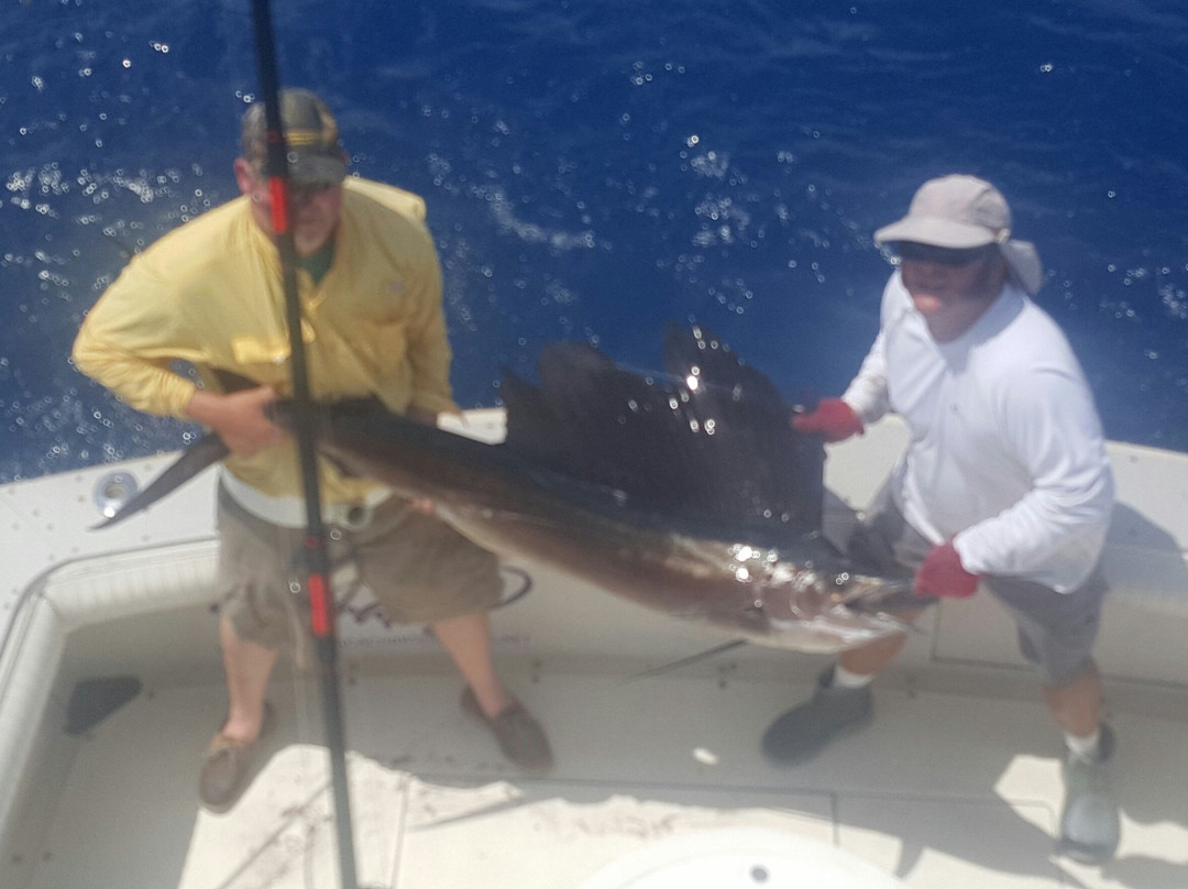 Something Catchy Charters-Long Key必去景点