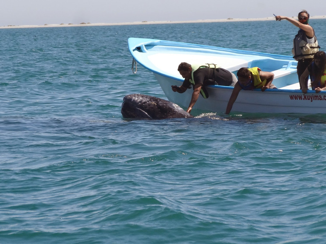 Antonios Eco-Tours-San Ignacio必去景点