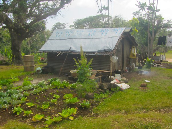 Mere Sauwia Homestay