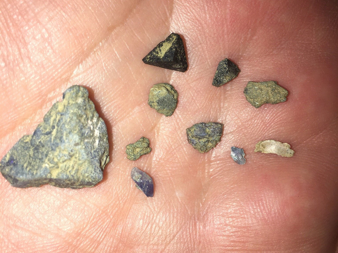 Benitoite Mining Company-科灵加必去景点