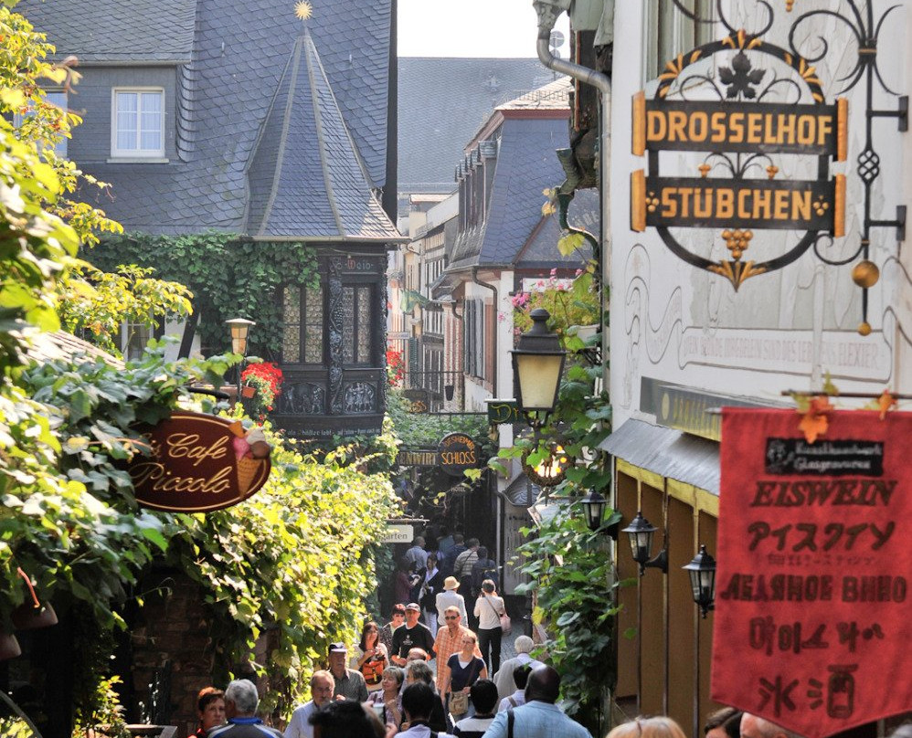 Rheingau Tours-Eltville am Rhein必去景点