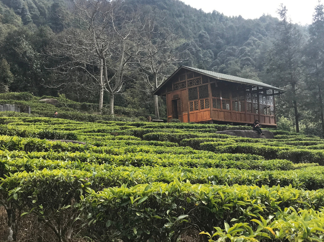 姑婆山国家森林公园景点图片