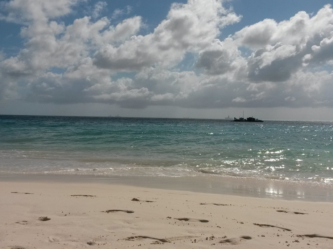 Links at Divi Aruba-奥腊涅斯塔德必去景点