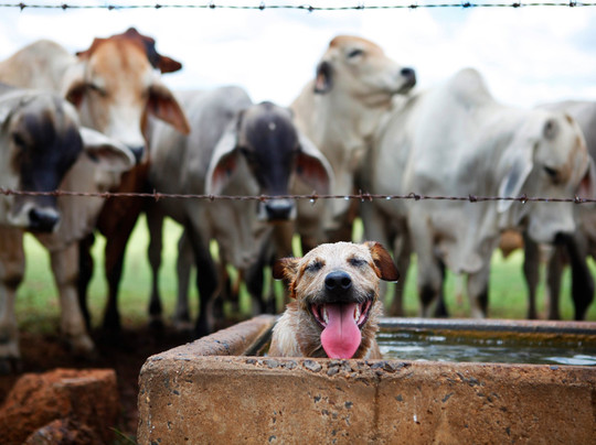 Alkoomi Adventure Farm-Marmor必去景点