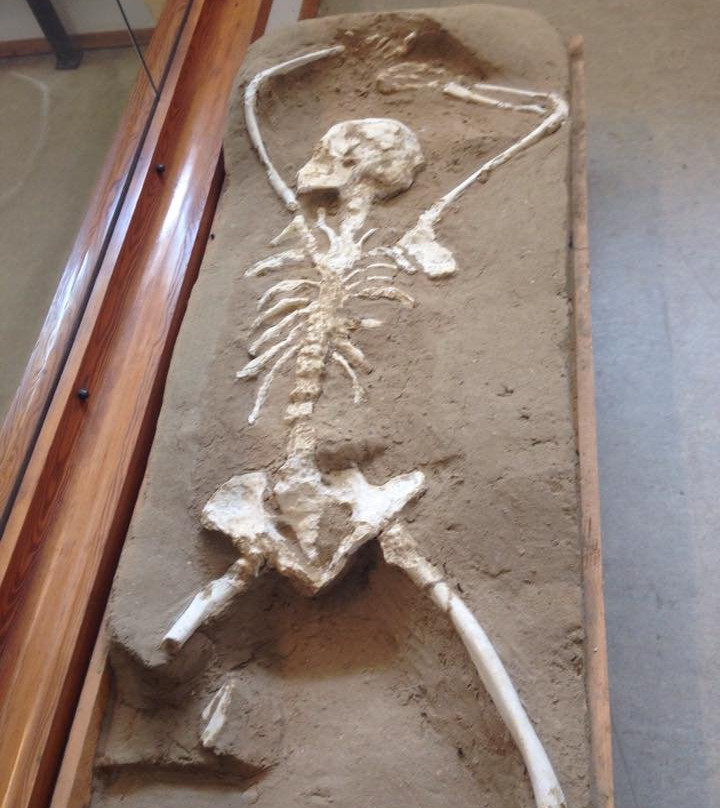 Parco Archeologico di Himera景点图片
