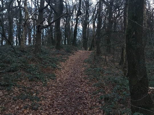 Hotel Restaurant De Leuf主图